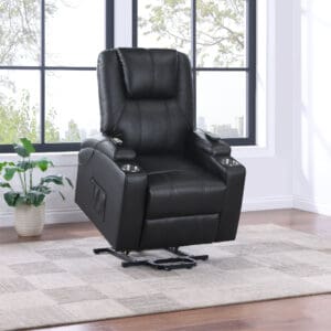 Power Lift Heat & Massage Recliner